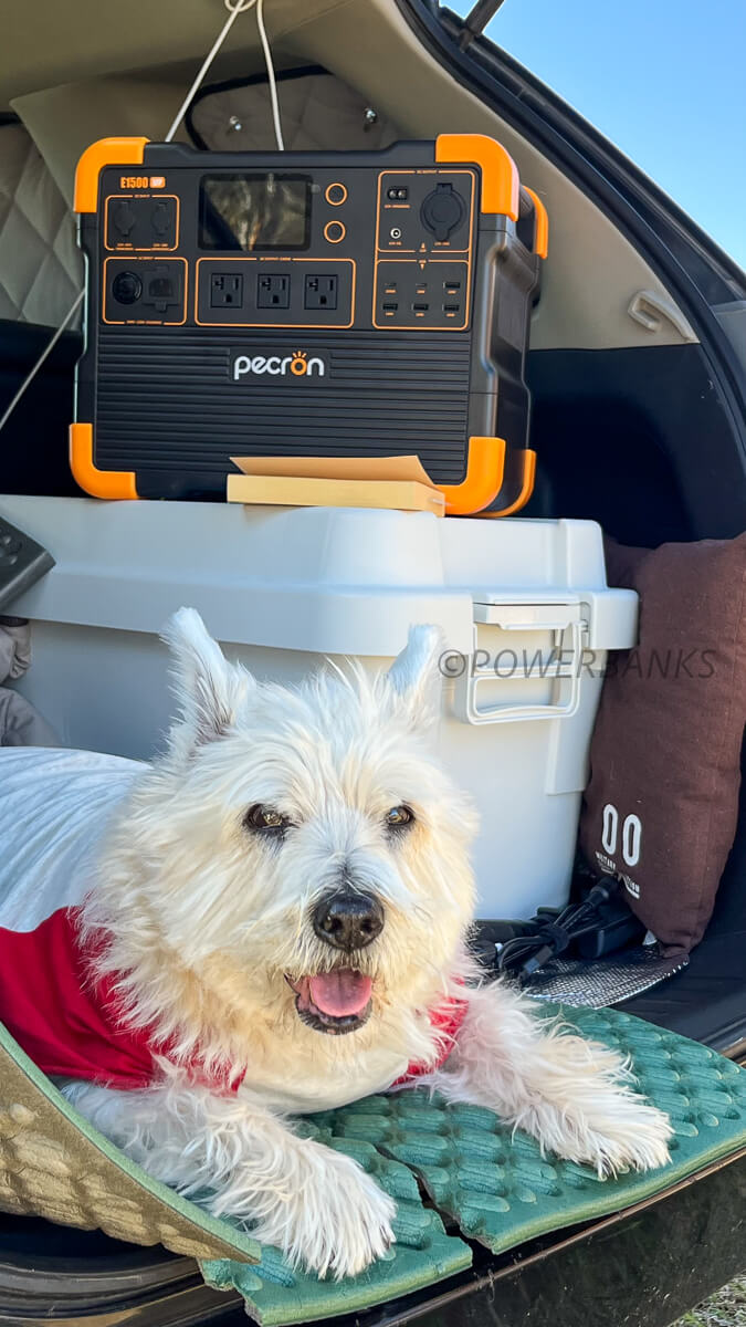 PECRON ポータブル電源 E1500LFP