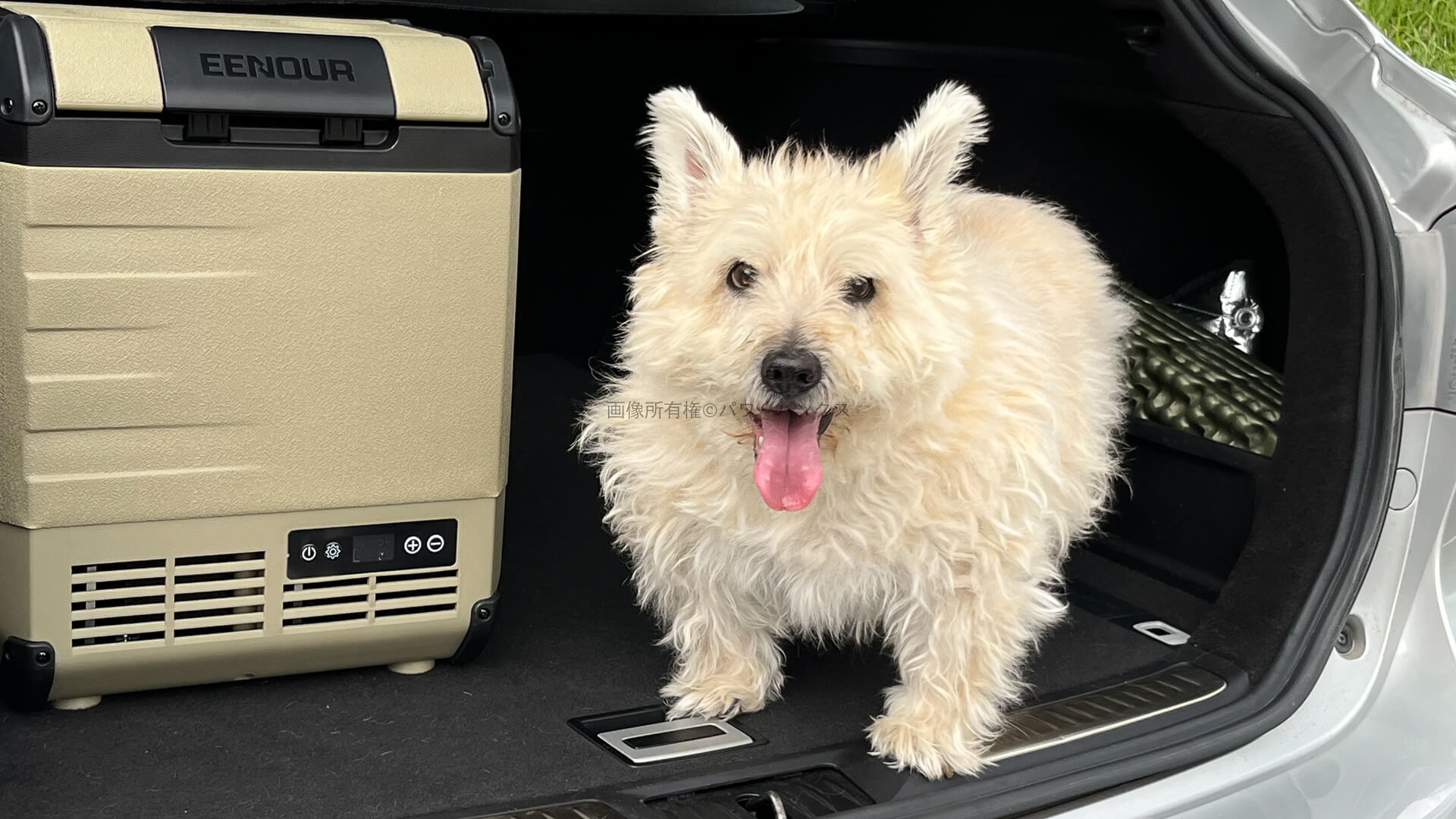 EENOUR D10レビュー