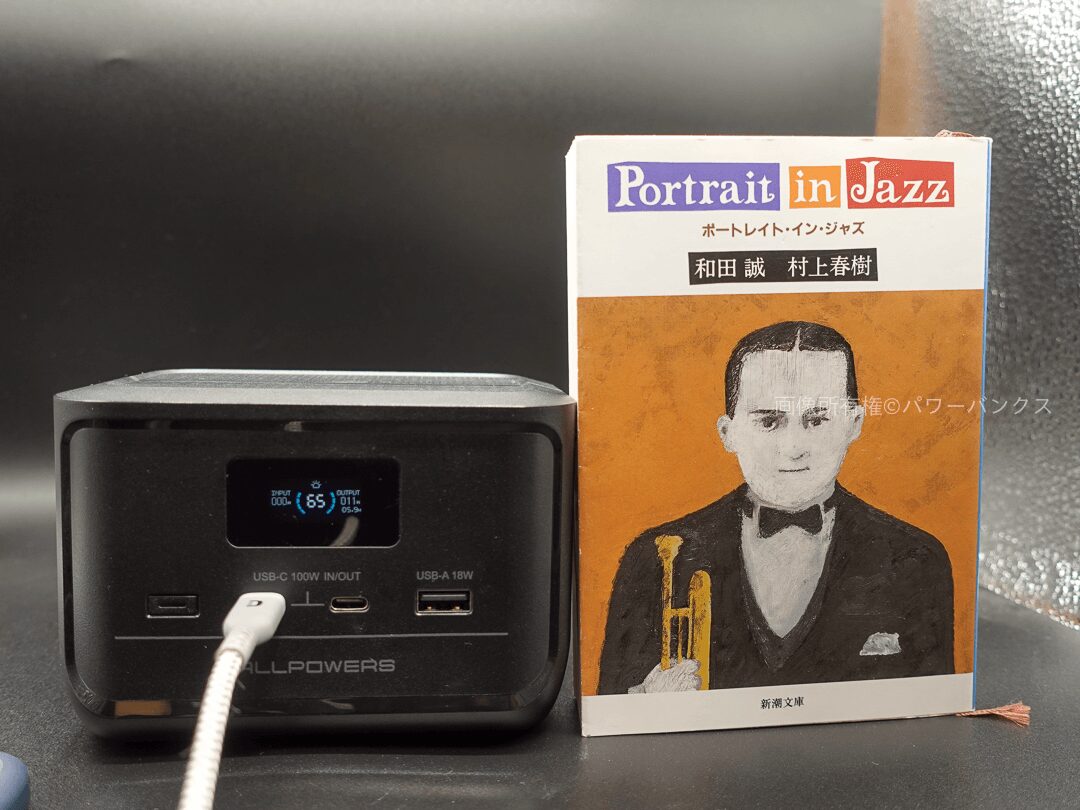 ALLPOWERS SOLAX P100 ポータブル電源 レビュー